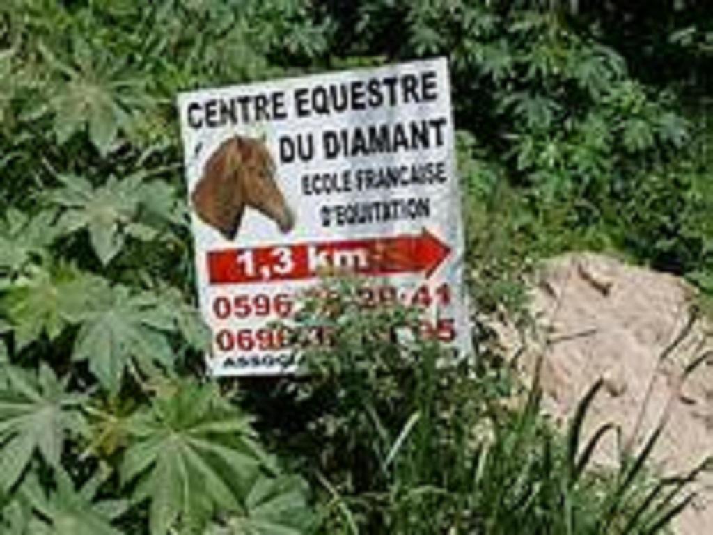 Appartement Rosbambou Les Pieds Dans L Eau Le Diamant Kültér fotó
